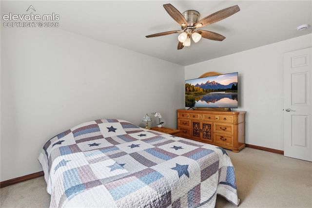 1113 Browning Avenue, Woodland Park, CO 80863