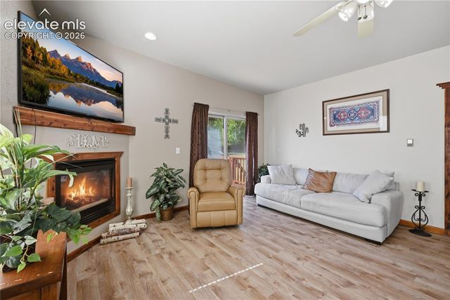 1113 Browning Avenue, Woodland Park, CO 80863