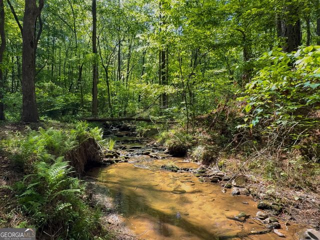 824 Bridge Road 56, Ellijay, GA 30540