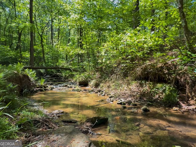 824 Bridge Road 56, Ellijay, GA 30540
