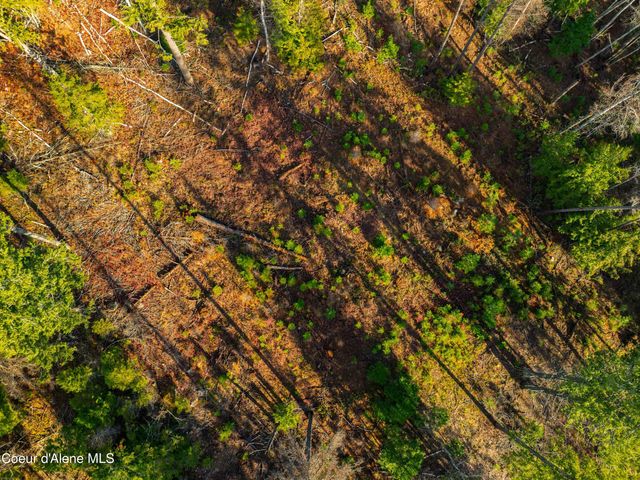 NNA 20.83acs Destiny Ln, Sandpoint, ID 83864