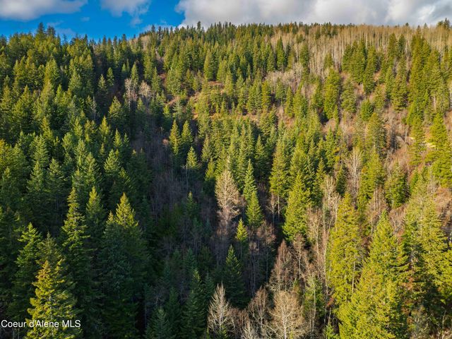 NNA 20.83acs Destiny Ln, Sandpoint, ID 83864