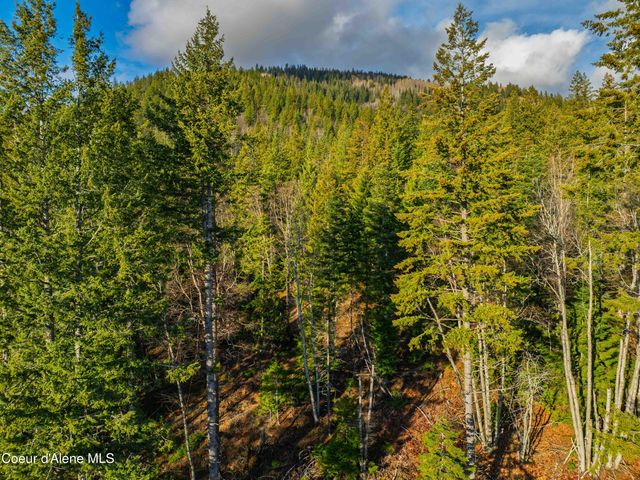 NNA 20.83acs Destiny Ln, Sandpoint, ID 83864