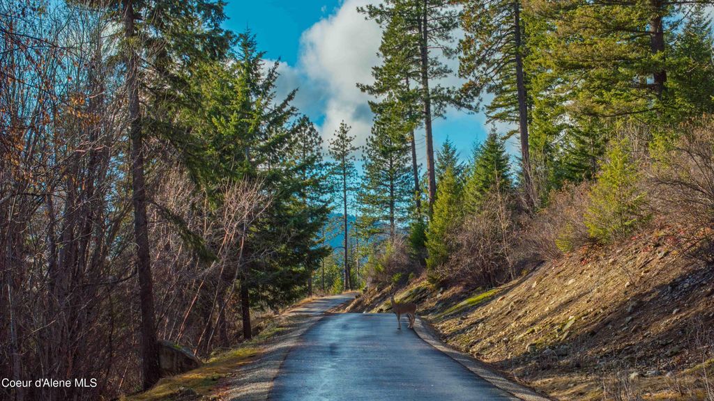 NNA 20.83acs Destiny Ln, Sandpoint, ID 83864