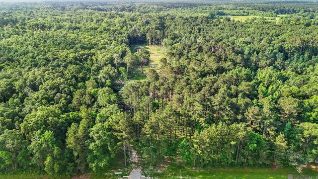 47405 La Hwy 16, Denham Springs, LA 70706