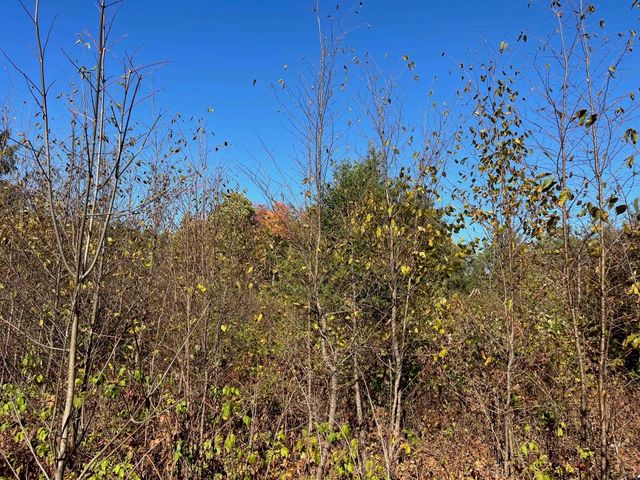 8812 Hemlock Hill Drive, Long Lake Twp, MI 49685