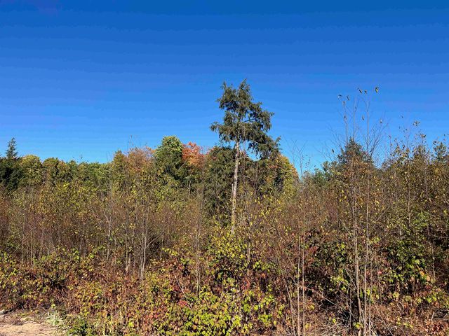 8812 Hemlock Hill Drive, Long Lake Twp, MI 49685