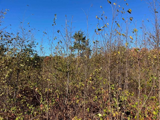 8812 Hemlock Hill Drive, Long Lake Twp, MI 49685