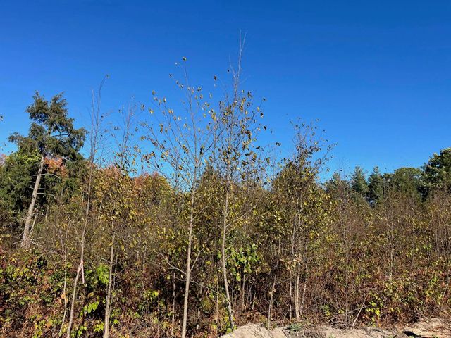 8812 Hemlock Hill Drive, Long Lake Twp, MI 49685