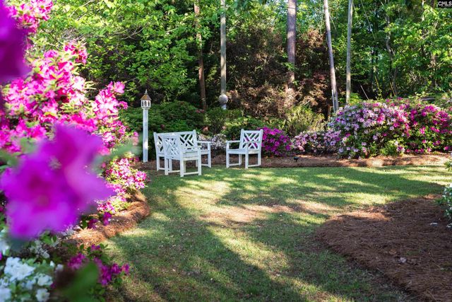 208 Lanham Spring Drive, Lexington, SC 29072