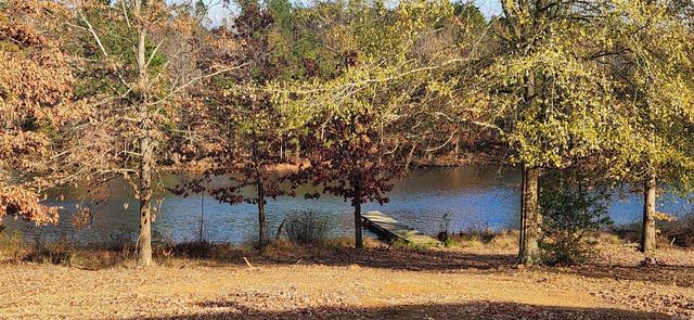 260 Burkhardt Drive, Rison, AR 71665