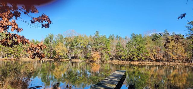 260 Burkhardt Drive, Rison, AR 71665