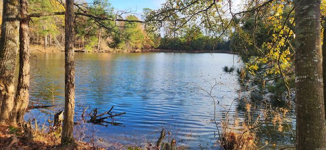 260 Burkhardt Drive, Rison, AR 71665