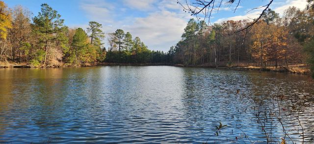 260 Burkhardt Drive, Rison, AR 71665