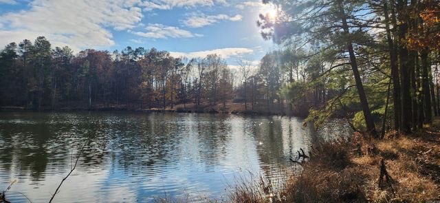 260 Burkhardt Drive, Rison, AR 71665