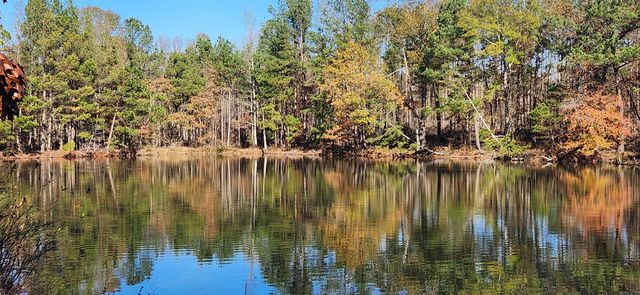 260 Burkhardt Drive, Rison, AR 71665