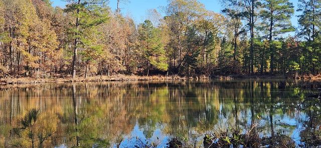 260 Burkhardt Drive, Rison, AR 71665