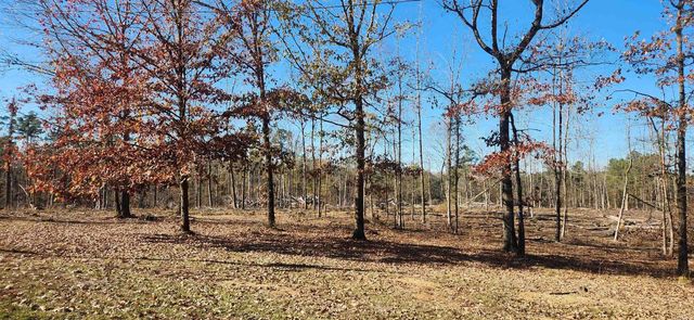 260 Burkhardt Drive, Rison, AR 71665