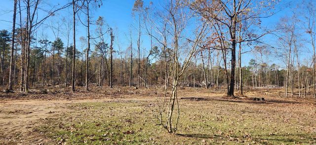 260 Burkhardt Drive, Rison, AR 71665