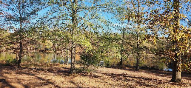 260 Burkhardt Drive, Rison, AR 71665