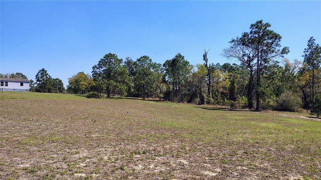 15971 SE 108TH LOOP, Ocklawaha, FL 32179