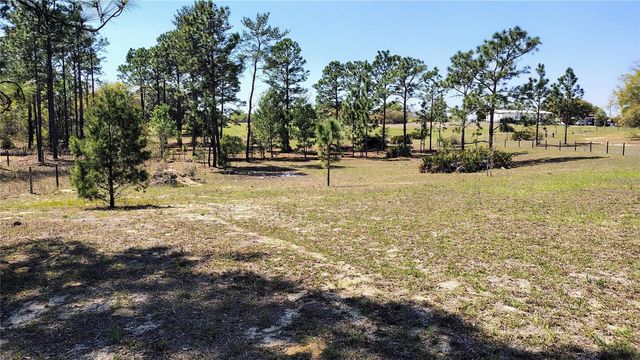 15971 SE 108TH LOOP, Ocklawaha, FL 32179