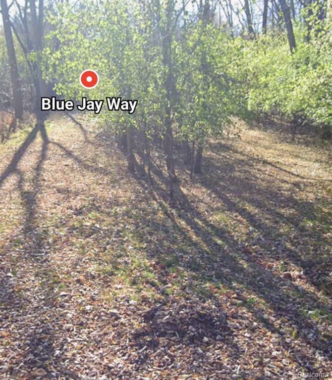 00000 Blue Jay Way Lane, West Bloomfield, MI 48322