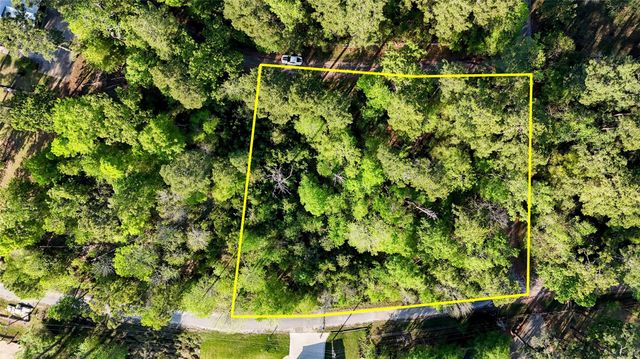 252 Forest Ridge Drive, Livingston, TX 77351