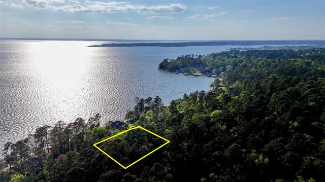 252 Forest Ridge Drive, Livingston, TX 77351