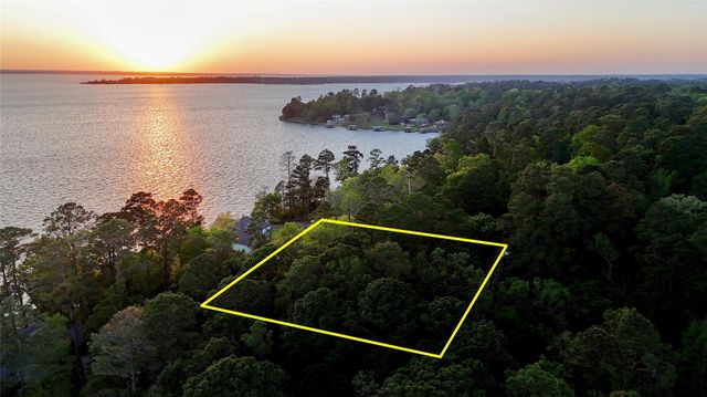 252 Forest Ridge Drive, Livingston, TX 77351