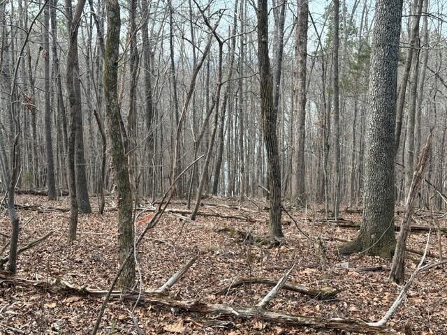 0 Pearson Road Tract 1, Harrison, TN 37341