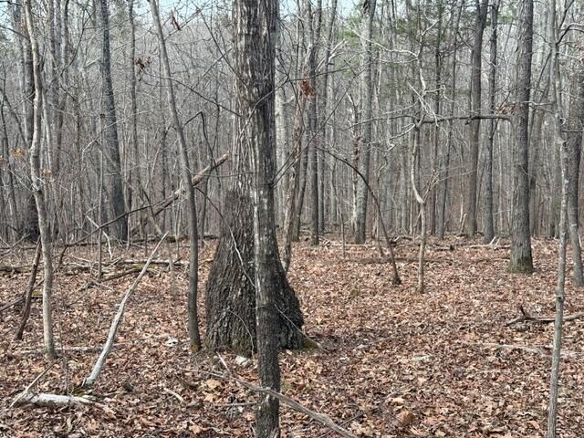 0 Pearson Road Tract 1, Harrison, TN 37341