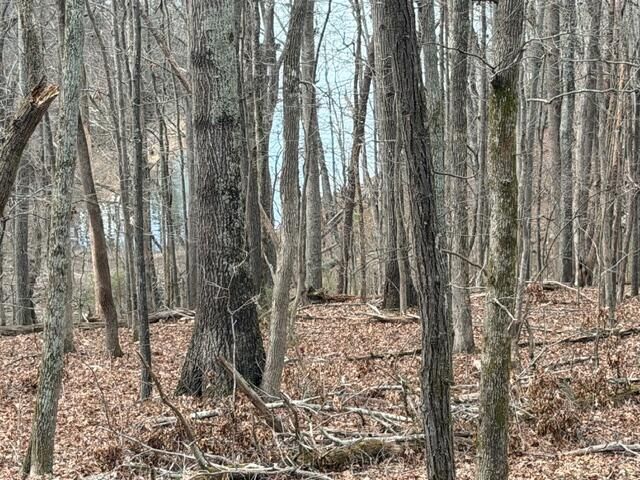 0 Pearson Road Tract 1, Harrison, TN 37341