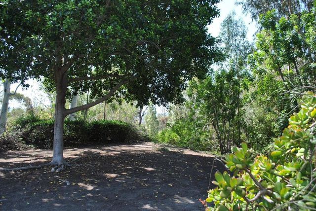 5009 Ducos Pl, San Diego, CA 92124