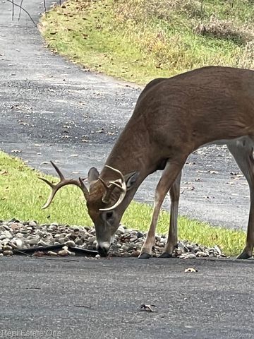 Address unavailable.