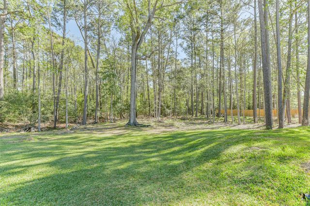 427 Lassen Villa Court, Houston, TX 77336