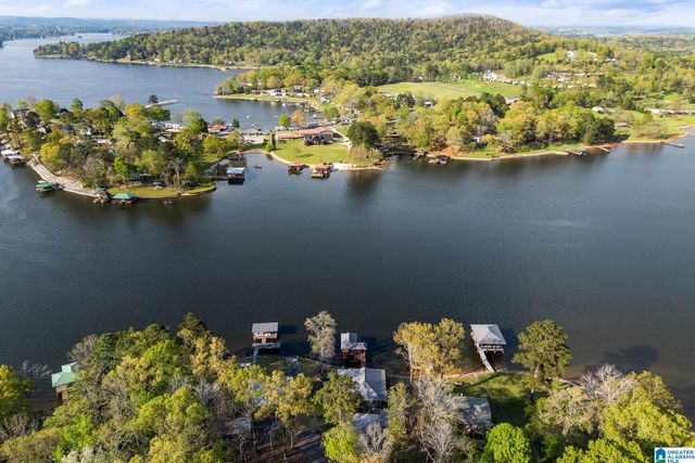 992 DAVIS ACRES DRIVE, Alpine, AL 35014