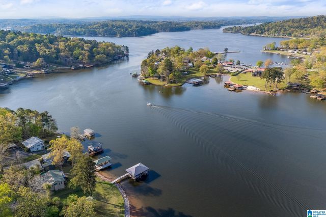 992 DAVIS ACRES DRIVE, Alpine, AL 35014