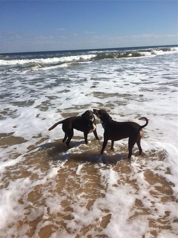 59 OCEAN STREET, Palm Coast, FL 32137