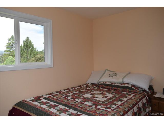 1651 Aspen Trl, Hartsel, CO 80449