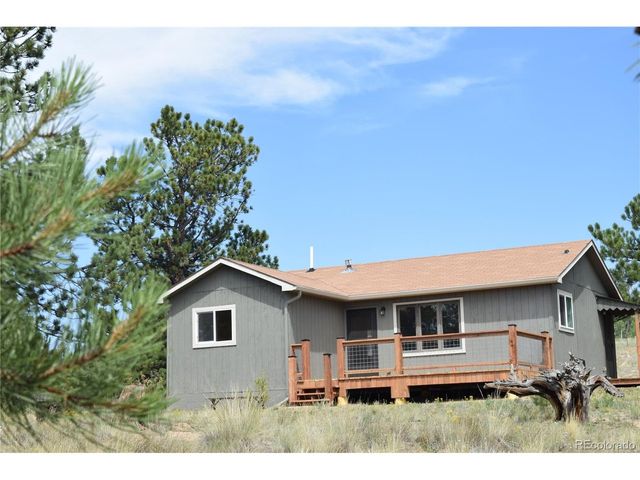 1651 Aspen Trl, Hartsel, CO 80449