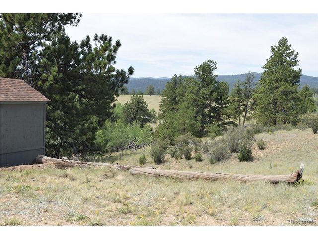 1651 Aspen Trl, Hartsel, CO 80449