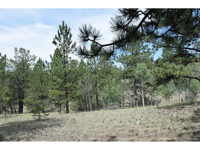 1651 Aspen Trl, Hartsel, CO 80449