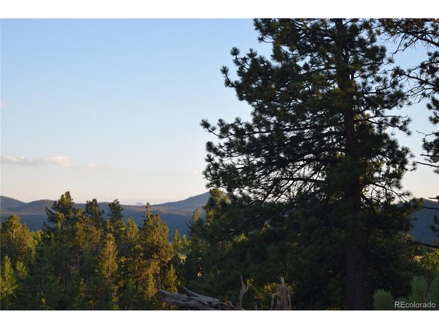 1651 Aspen Trl, Hartsel, CO 80449