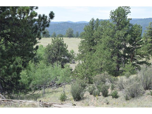 1651 Aspen Trl, Hartsel, CO 80449