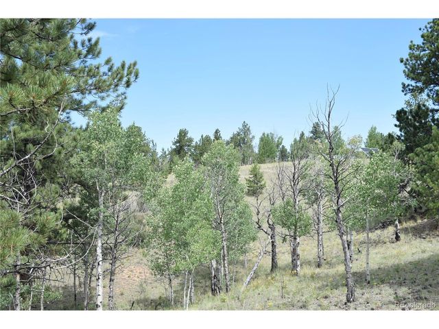 1651 Aspen Trl, Hartsel, CO 80449