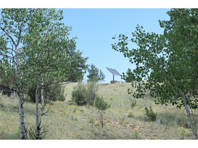 1651 Aspen Trl, Hartsel, CO 80449