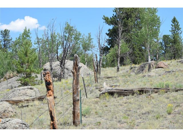 1651 Aspen Trl, Hartsel, CO 80449