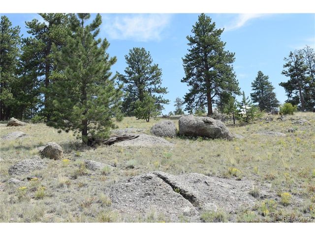 1651 Aspen Trl, Hartsel, CO 80449