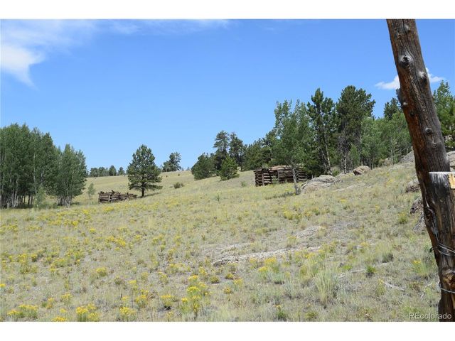 1651 Aspen Trl, Hartsel, CO 80449